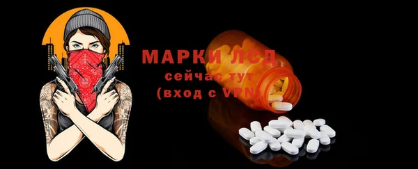 прущий лед Алзамай