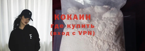 прущий лед Алзамай