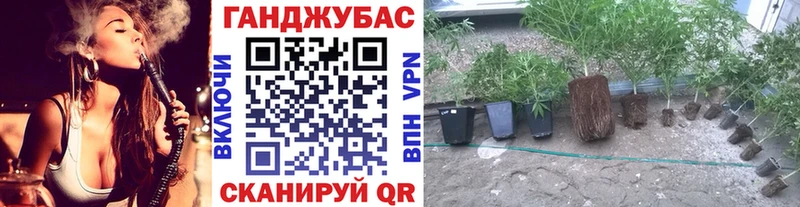 Шишки марихуана тримм  Зуевка 